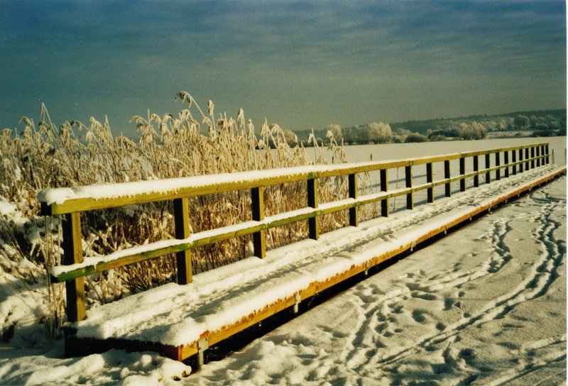 badesteg_winter.jpg