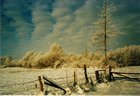 winterimpression.jpg