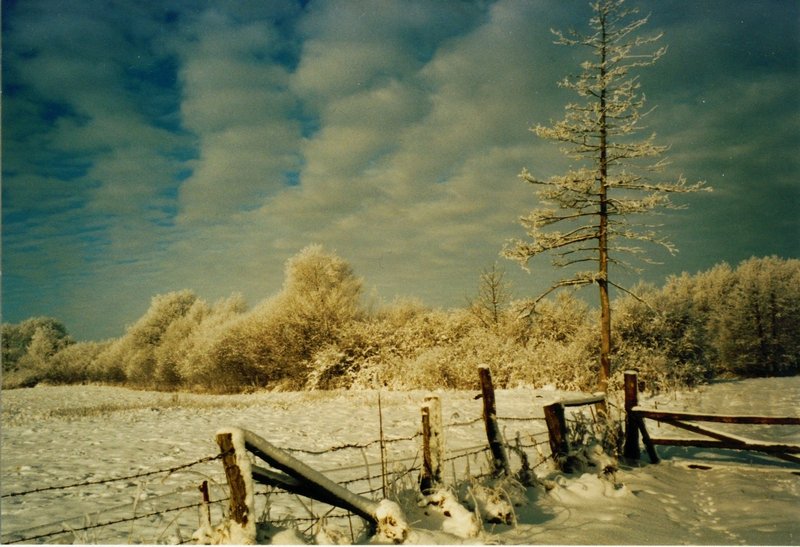 winterimpression.jpg